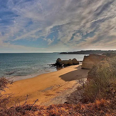 New Wow Beach Flat - 300mts To Beach Elevator Wifi *